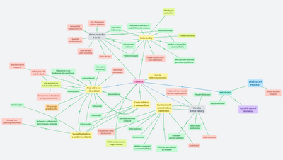 závěrečný projekt 2024