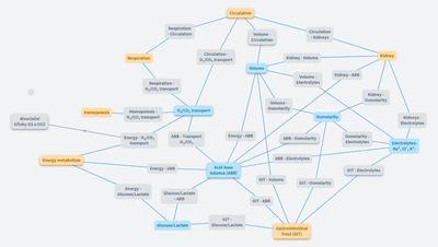 Blok - integrative pathophysiology