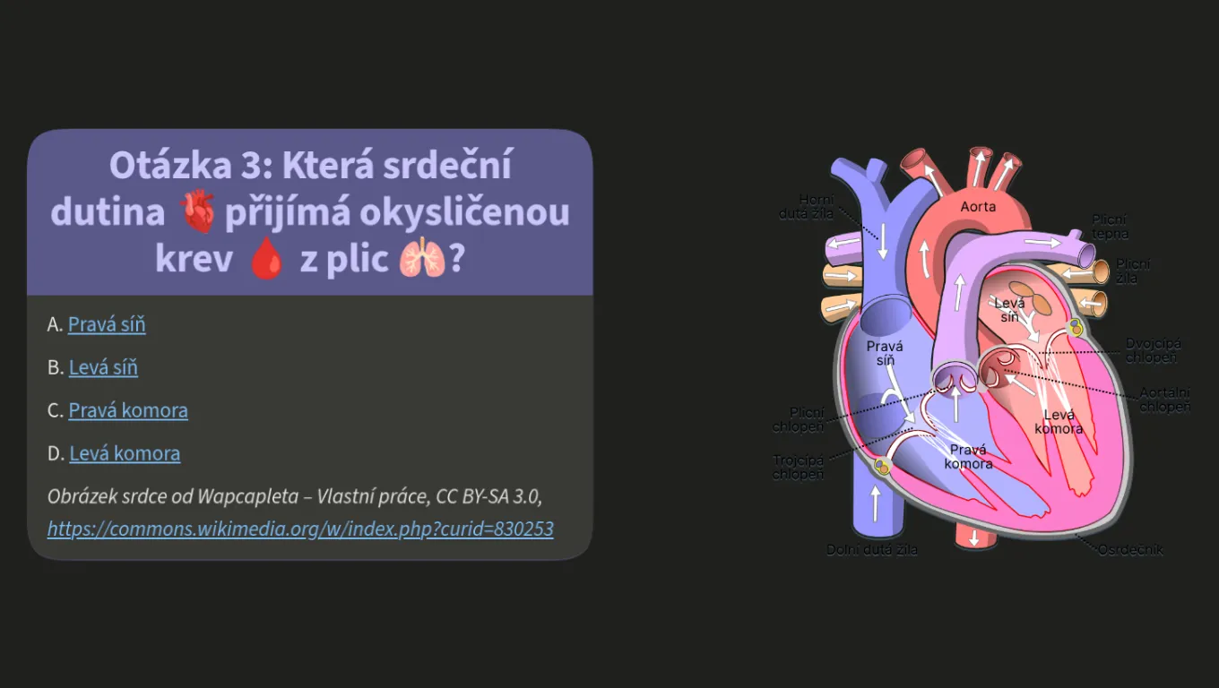 Kvíz o lidském těle