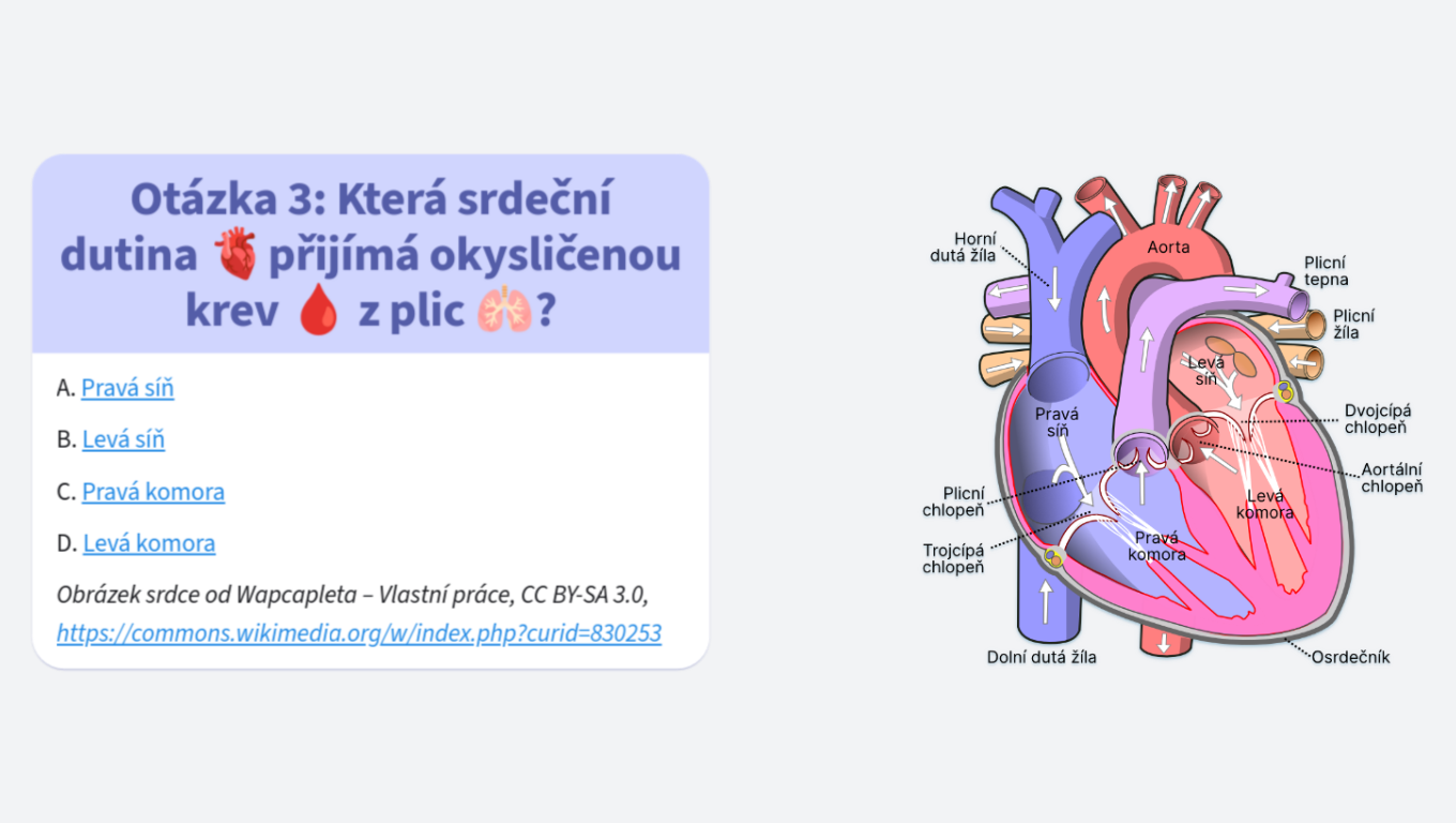 Kvíz o lidském těle