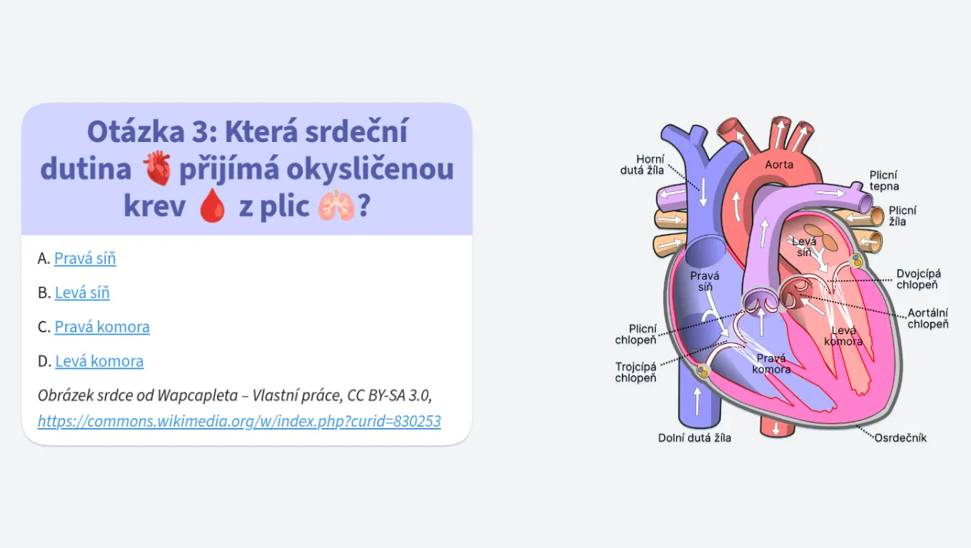 Kvíz o lidském těle