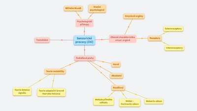 Senzorické procesy (čití)