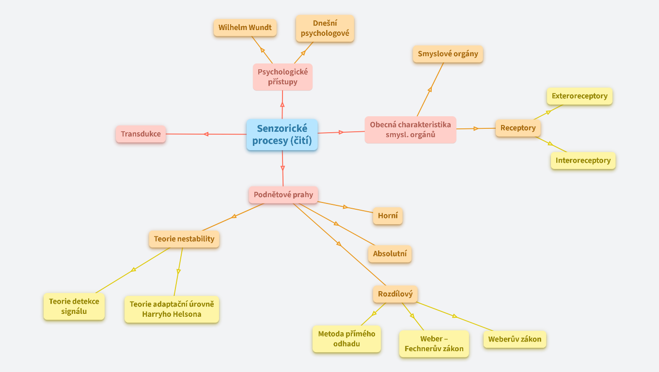 Senzorické procesy (čití)