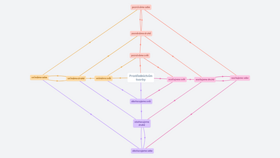 Jak poznáváme svět prostřednictvím tvorby