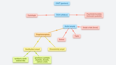 Čich, chuť a kožní smysly