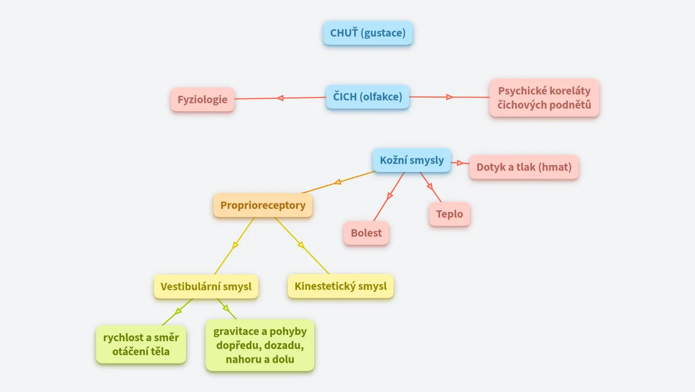 Čich, chuť a kožní smysly