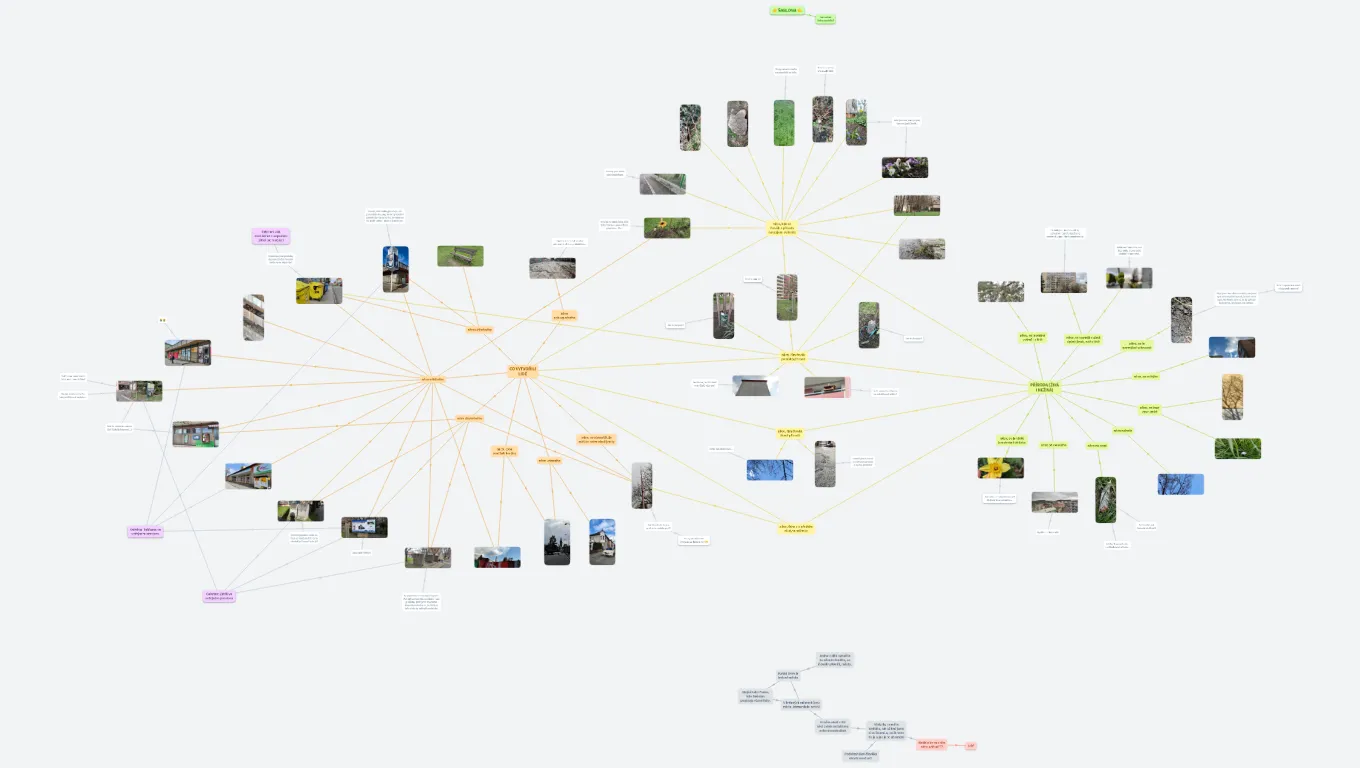 Najdi ve svém okolí... (Baruš Mima) (copy)