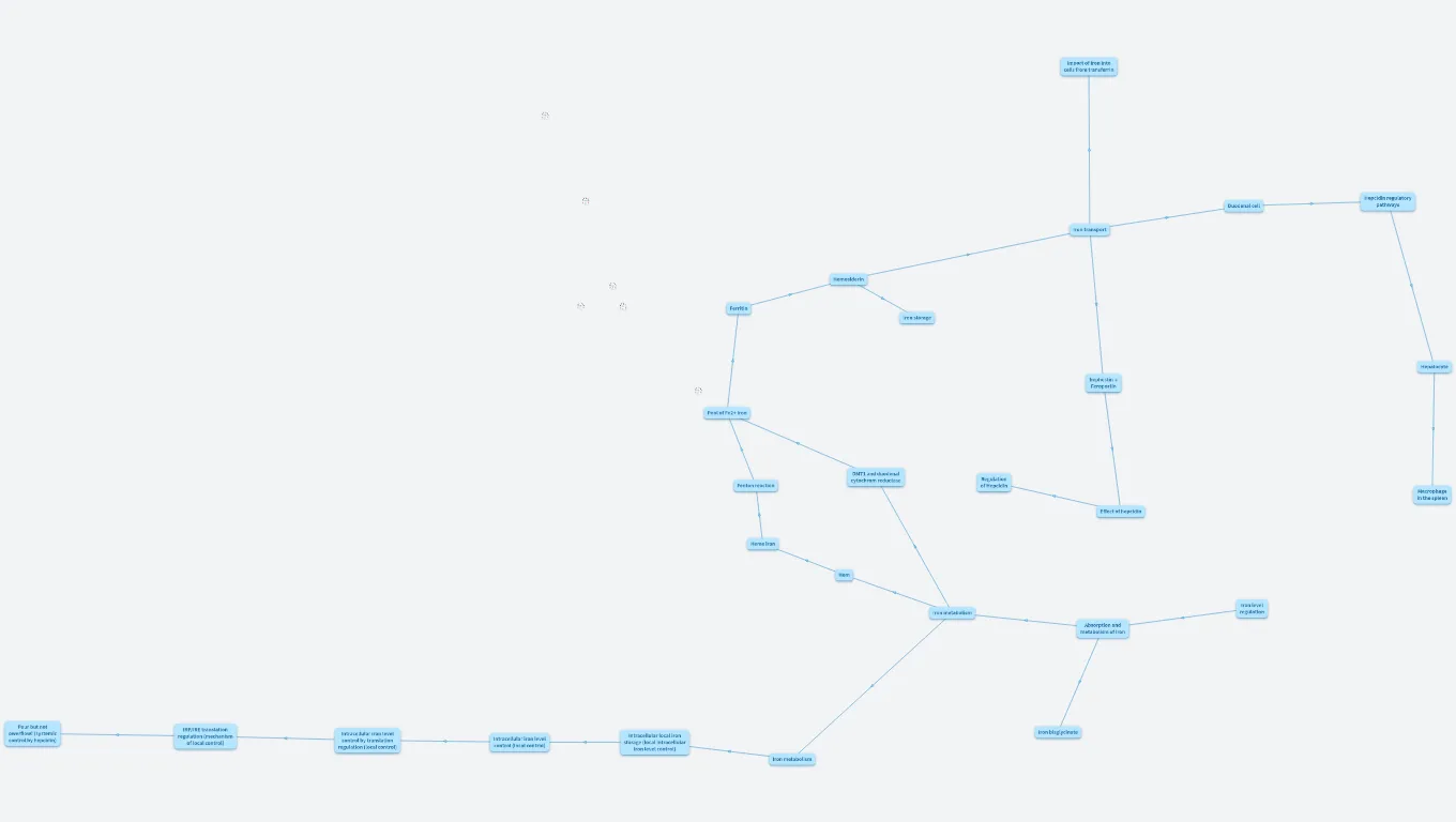 výuka metabolizmus železa eng