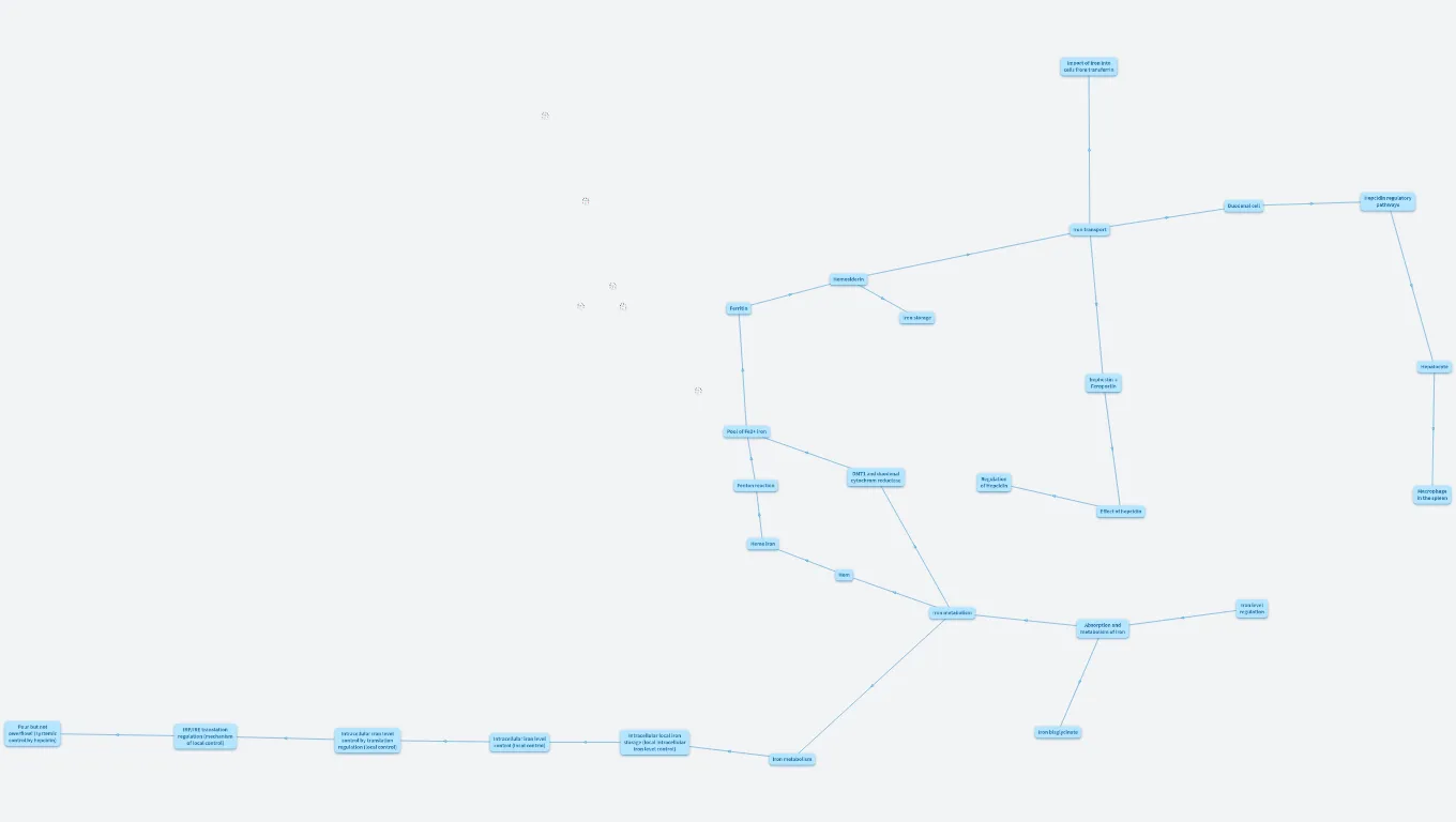 výuka metabolizmus železa eng