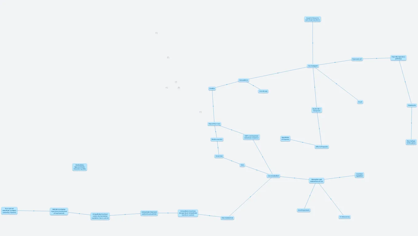 výuka metabolizmus železa eng