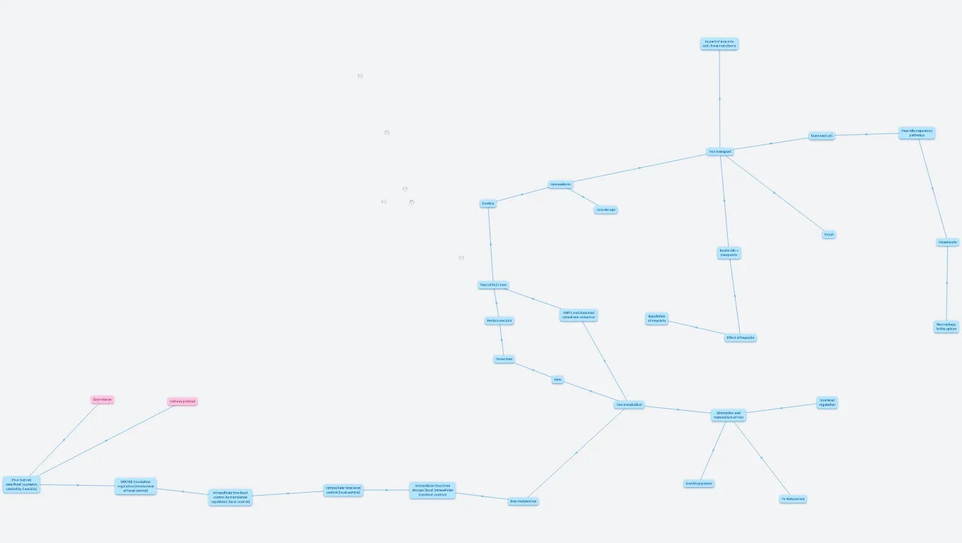výuka metabolizmus železa eng