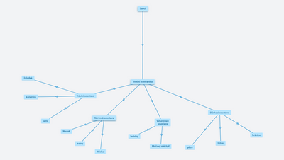 savci vnitřní stavba těla
