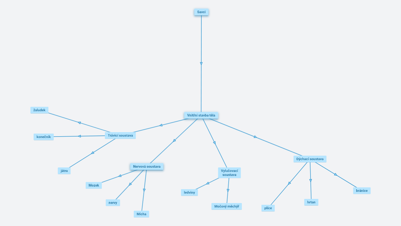 savci vnitřní stavba těla