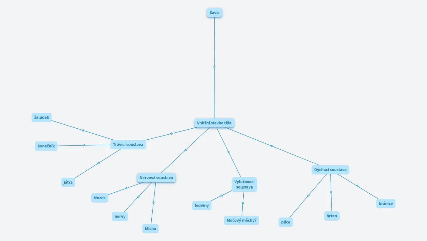 savci vnitřní stavba těla