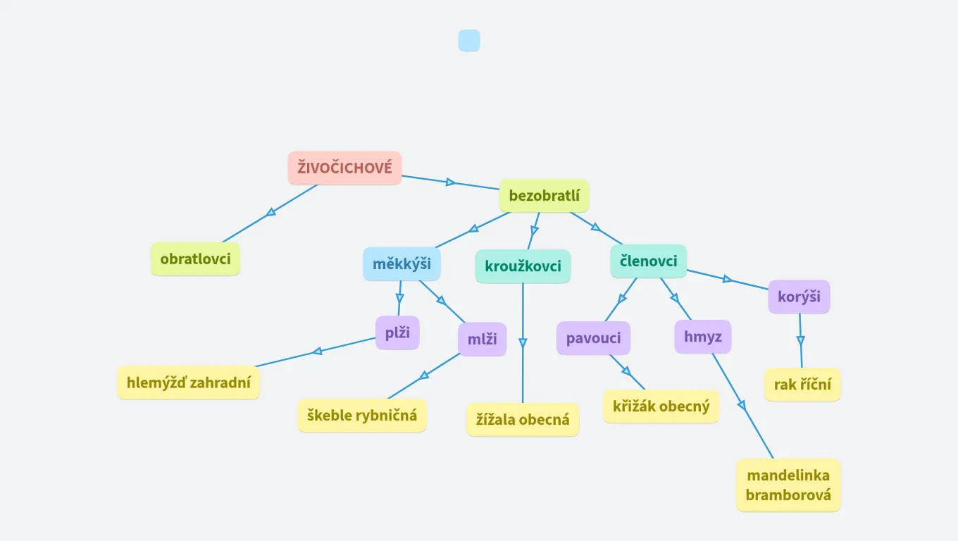 Živočichové (kopie)