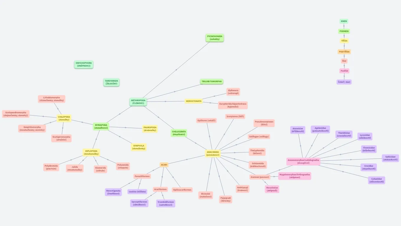 Bezobratlí - ARTHROPODA