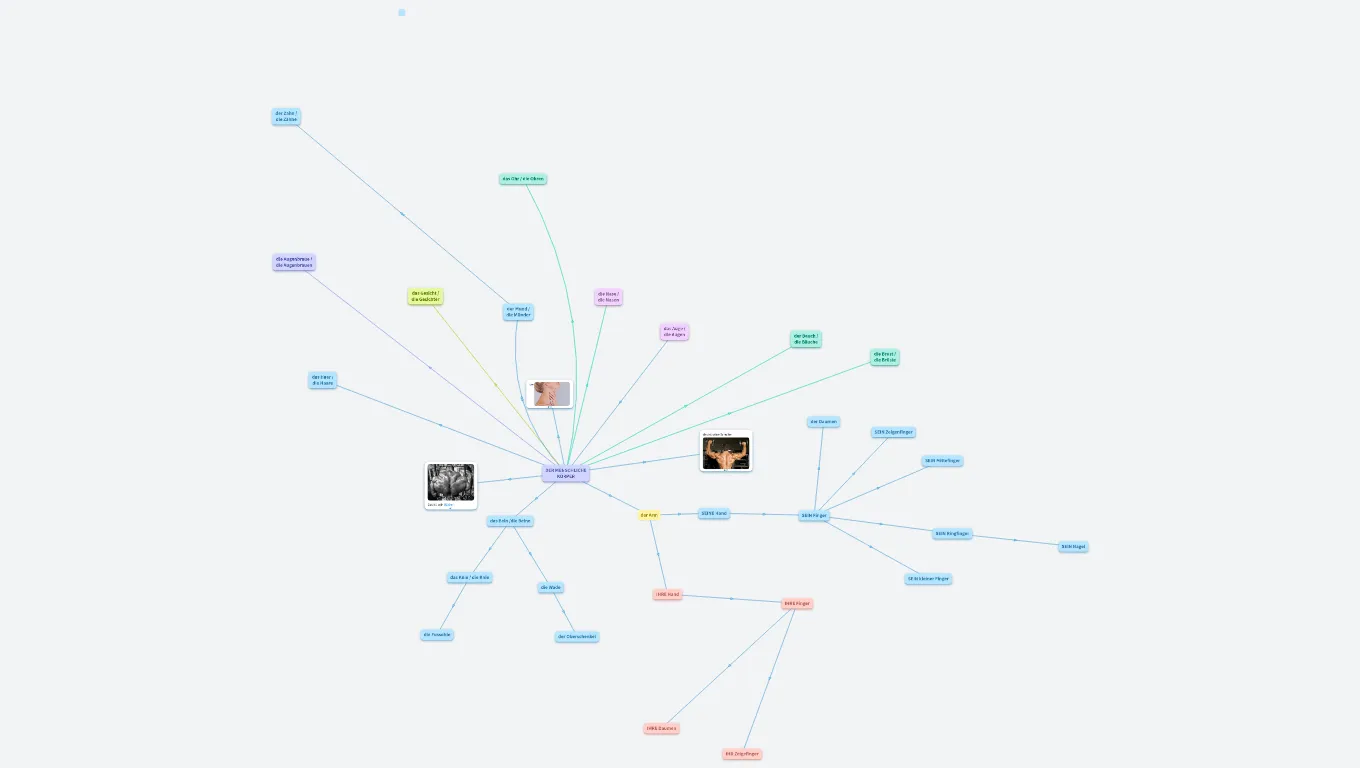 Der menschliche Körper