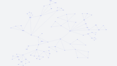 13) List, květ a plod