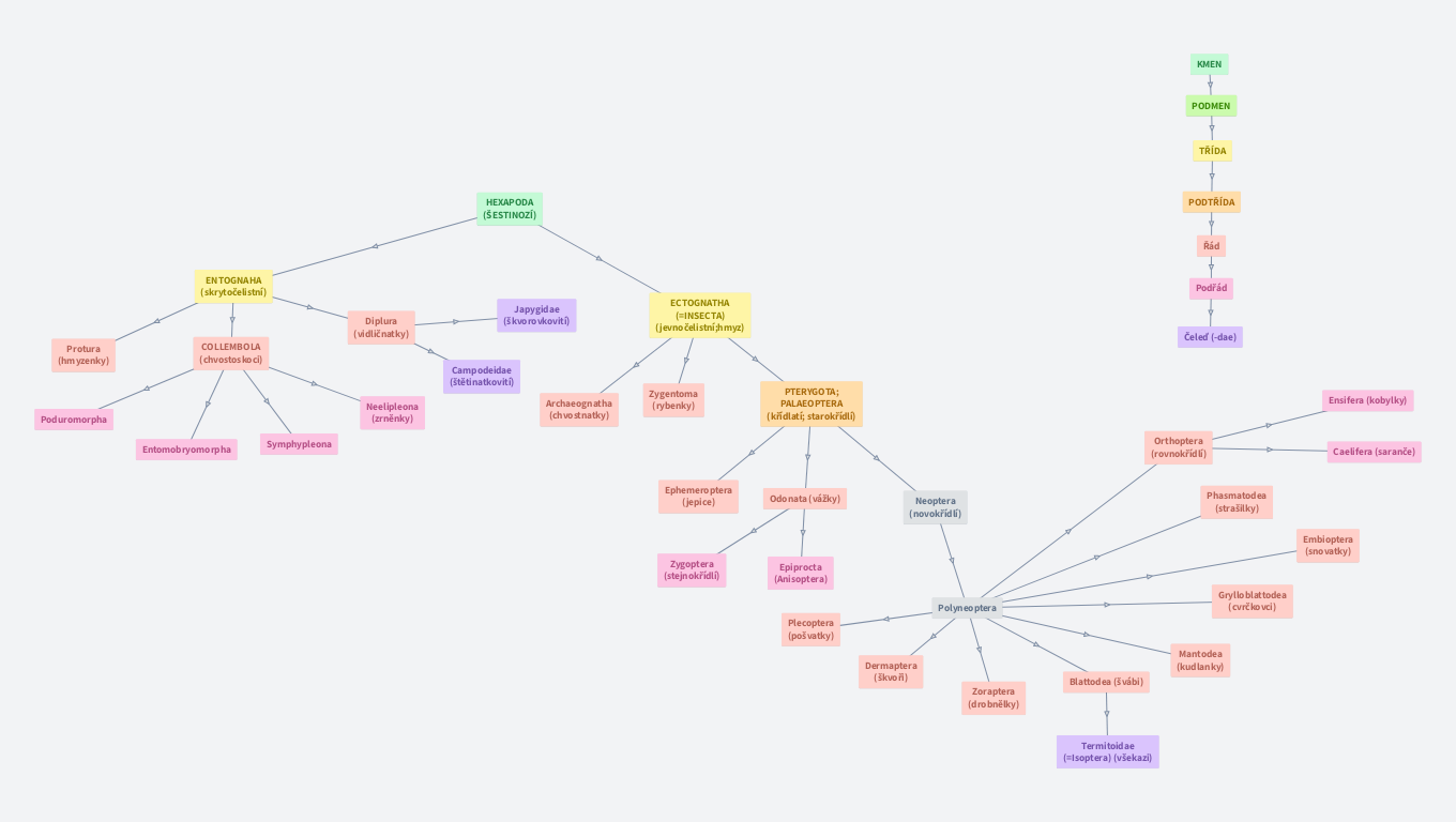 Bezobratlí - HEXAPODA