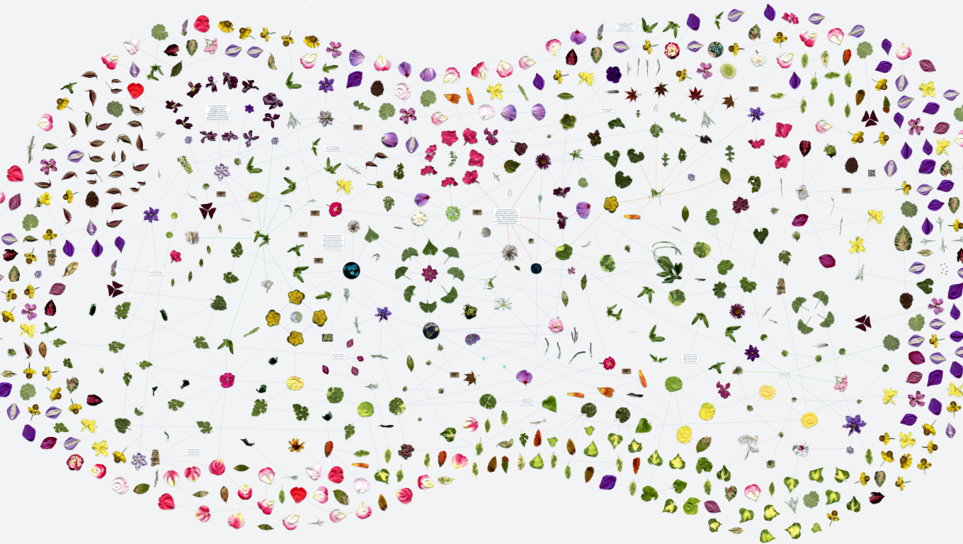 Biologie internetu - Sítě v přírodě a myšlení