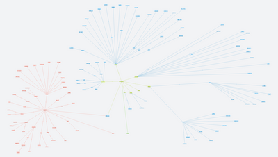 zástupci hmyzu  s výkladem 
