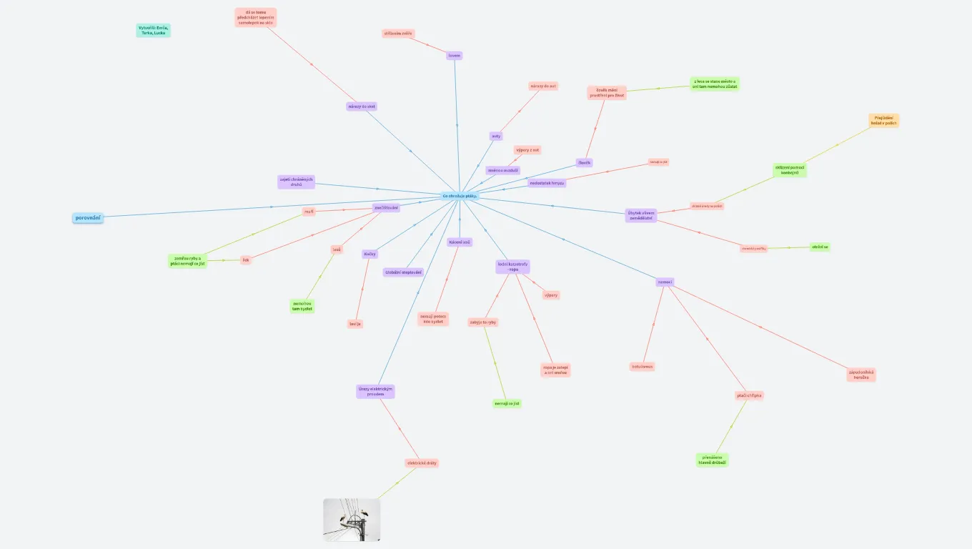 Co ohrožuje ptáky. 