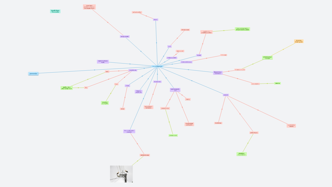 Co ohrožuje ptáky.