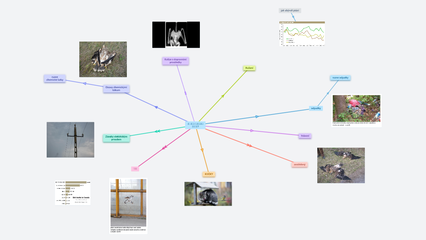 𝙘𝙤 𝙢𝙪𝙯𝙚 𝙤𝙝𝙧𝙤𝙯𝙞𝙩 𝙥𝙩𝙖𝙠𝙮