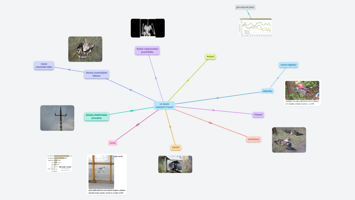 𝙘𝙤 𝙢𝙪𝙯𝙚 𝙤𝙝𝙧𝙤𝙯𝙞𝙩 𝙥𝙩𝙖𝙠𝙮