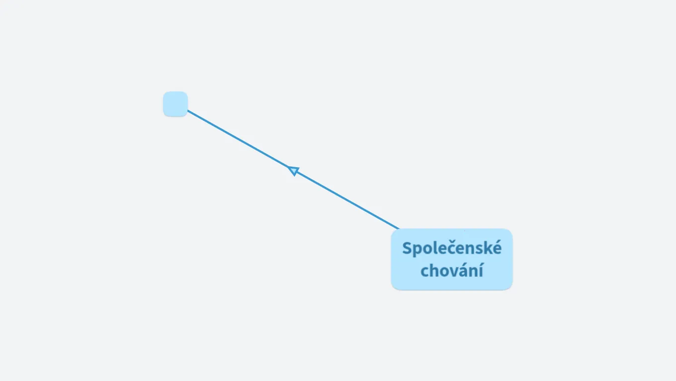 Společenské chování