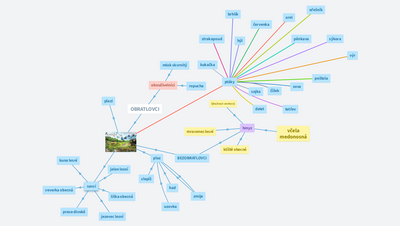 LESNÍ ŽIVOČICHOVÉ 4