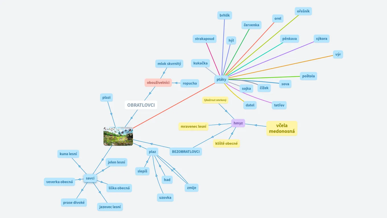 LESNÍ ŽIVOČICHOVÉ 4