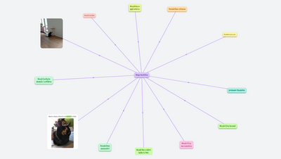 Zvířátka ve škole