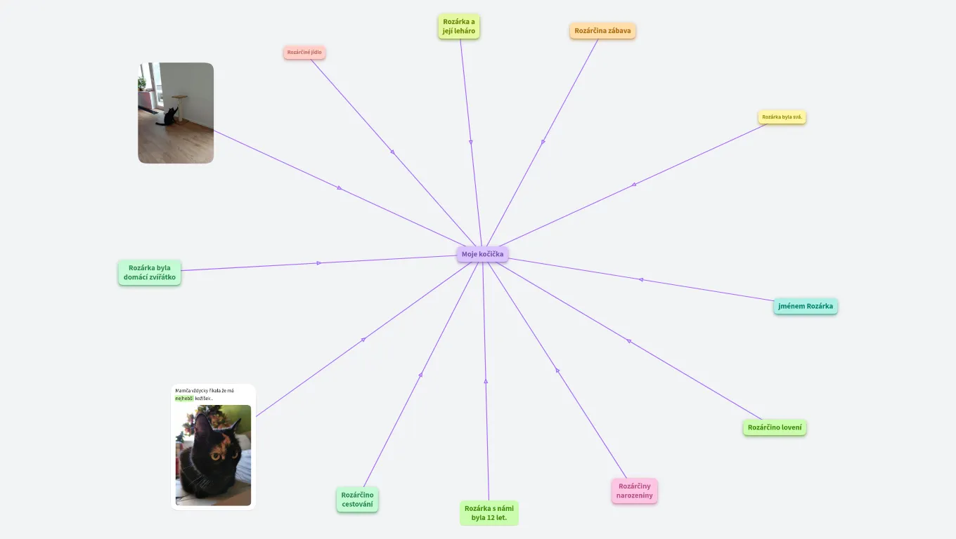 Zvířátka ve škole