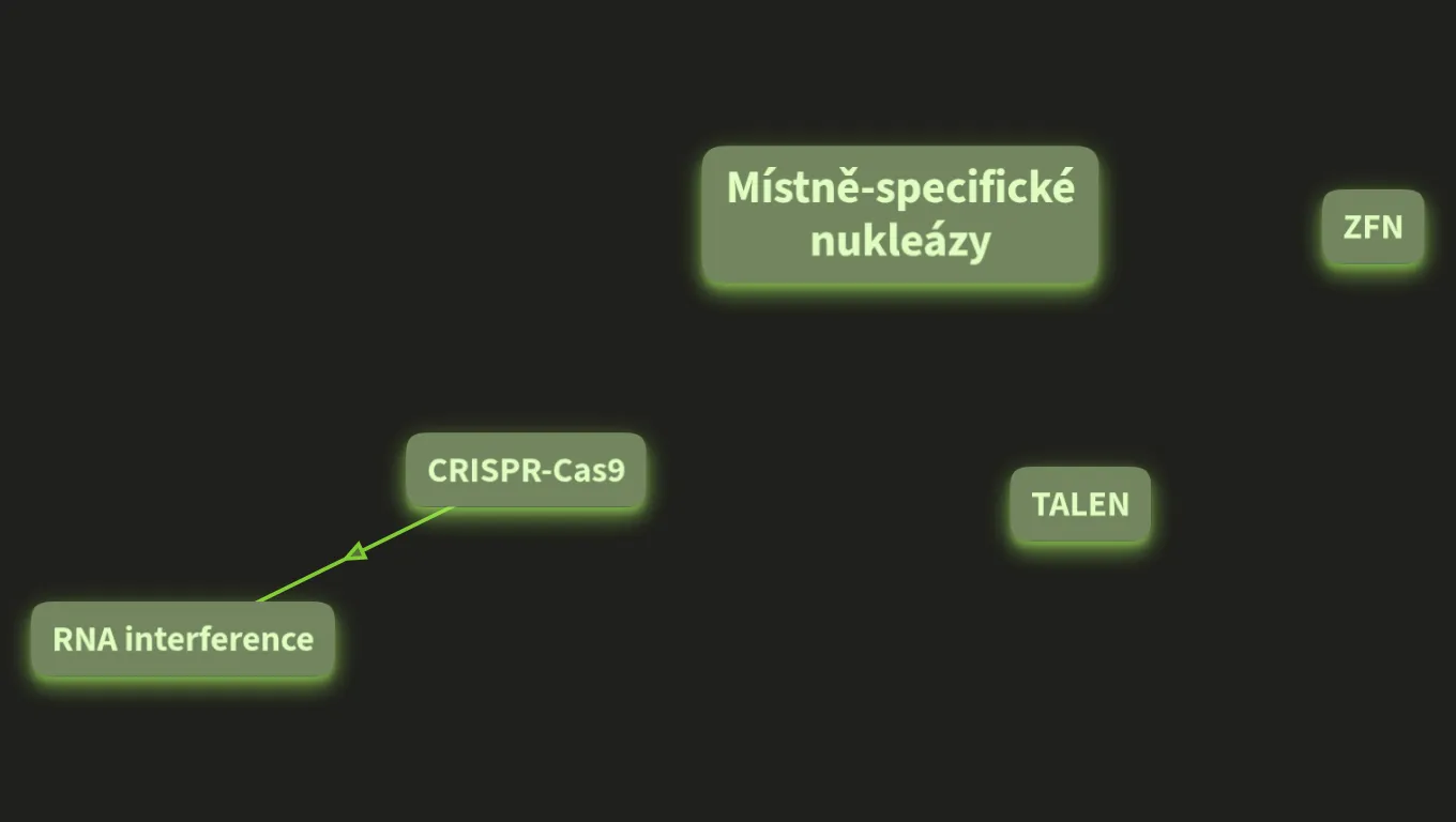 Místně specifické nukleázy