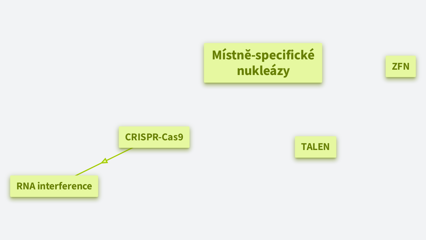 Místně specifické nukleázy