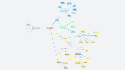 Literární formy, druhy, žánry 