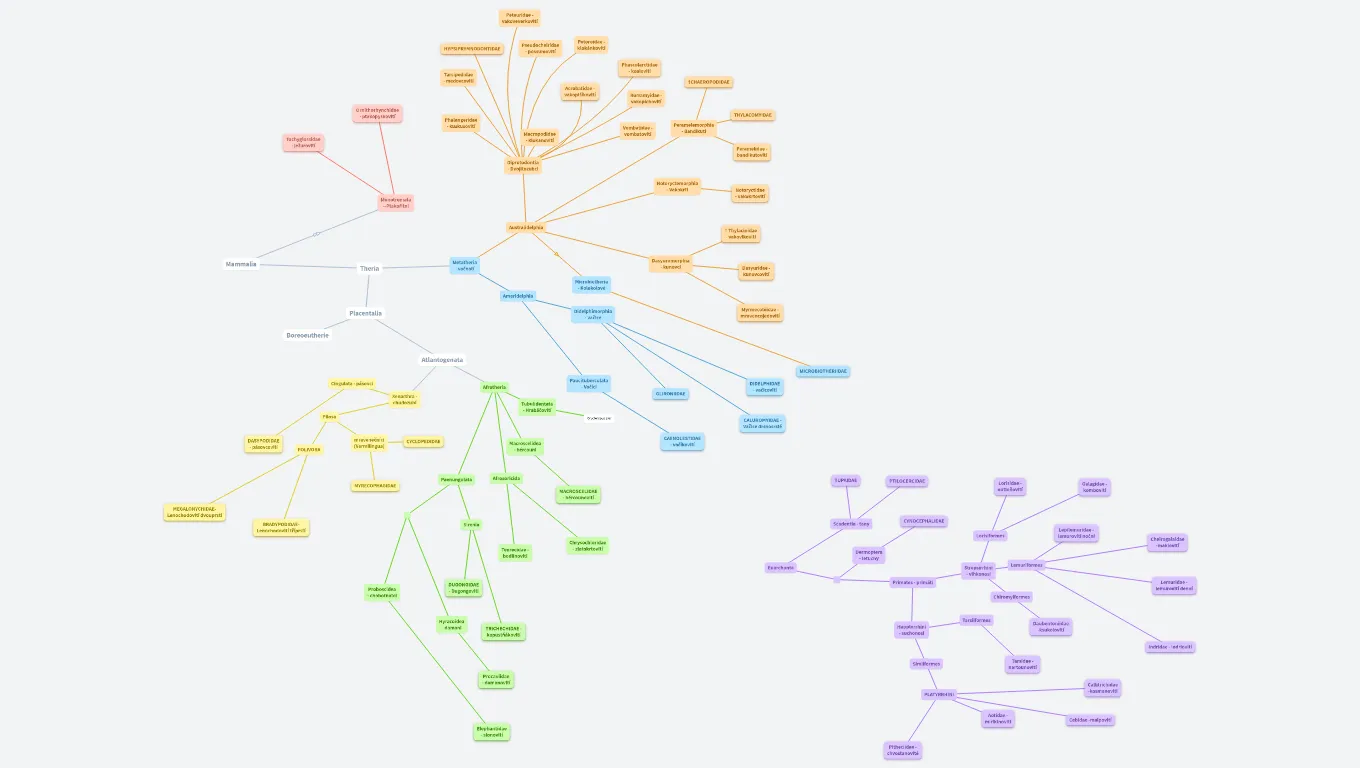 Monotremata, Metatheria, Afrotheria, Xenarthra