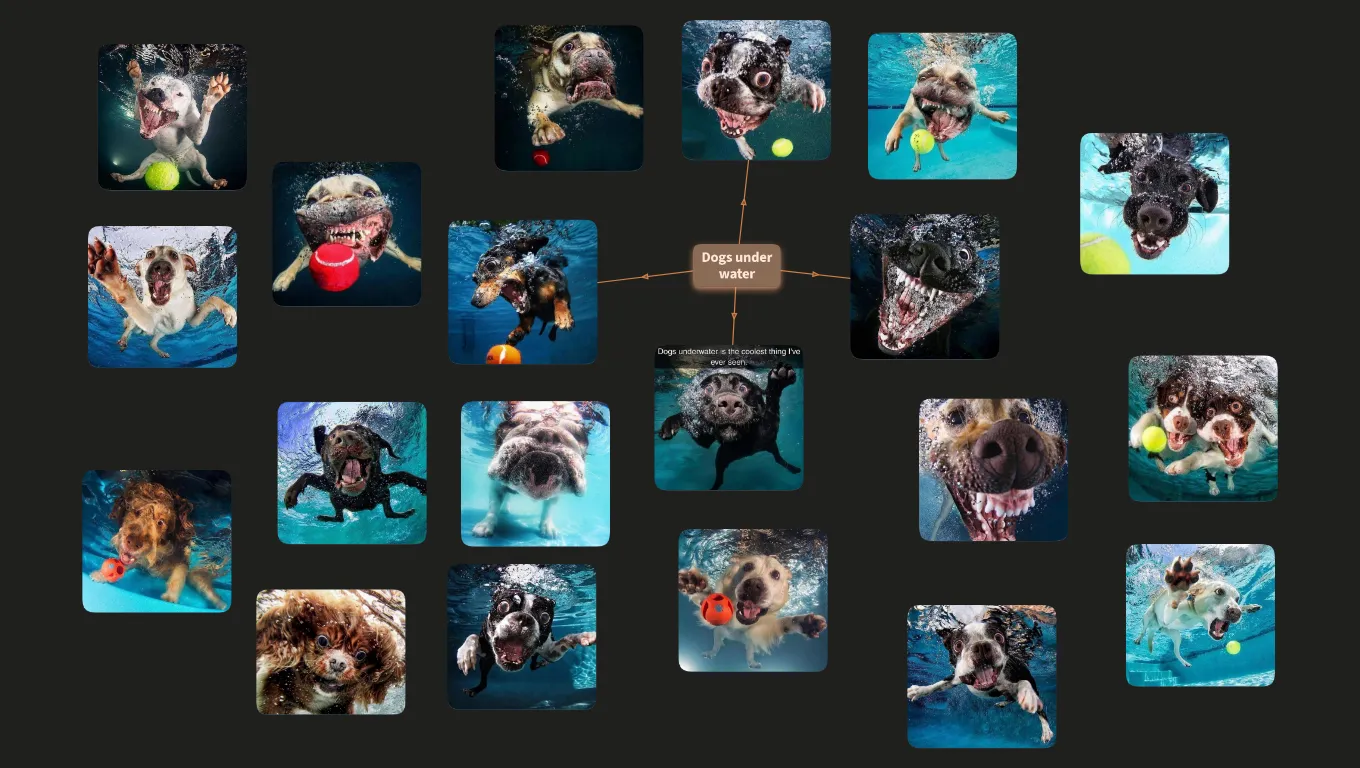 Dogs under water