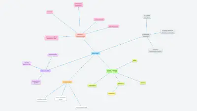 Myšlenková mapa - Internet