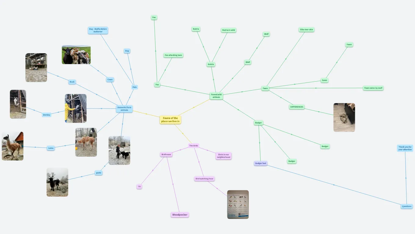 The Fauna of the place we live in (Hora Svaté Kateřiny)