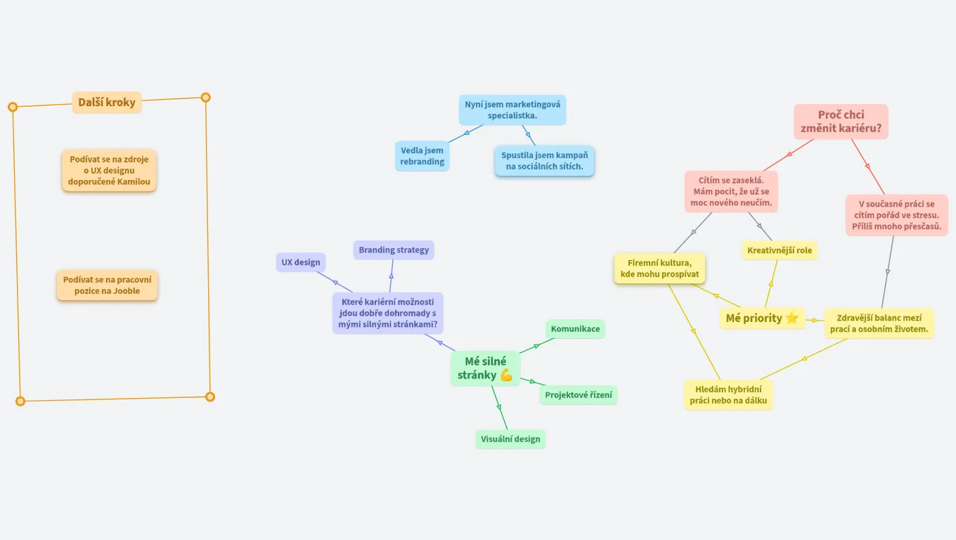 Annina kariérní mapa