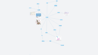 Respiration-Functional anatomy