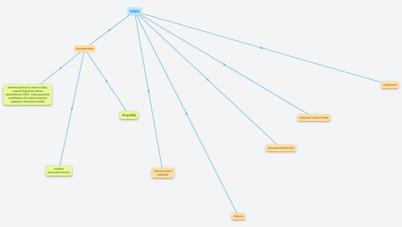 Můj oblíbený sport