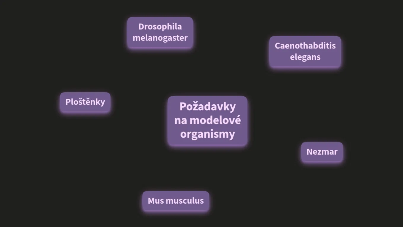 Modelové organismy