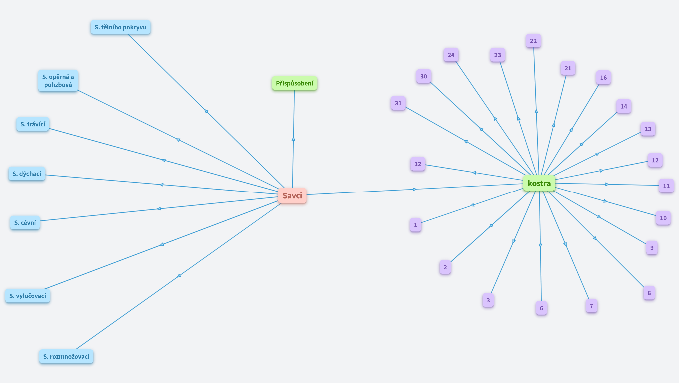 Vnitřní stavba těla savců - A