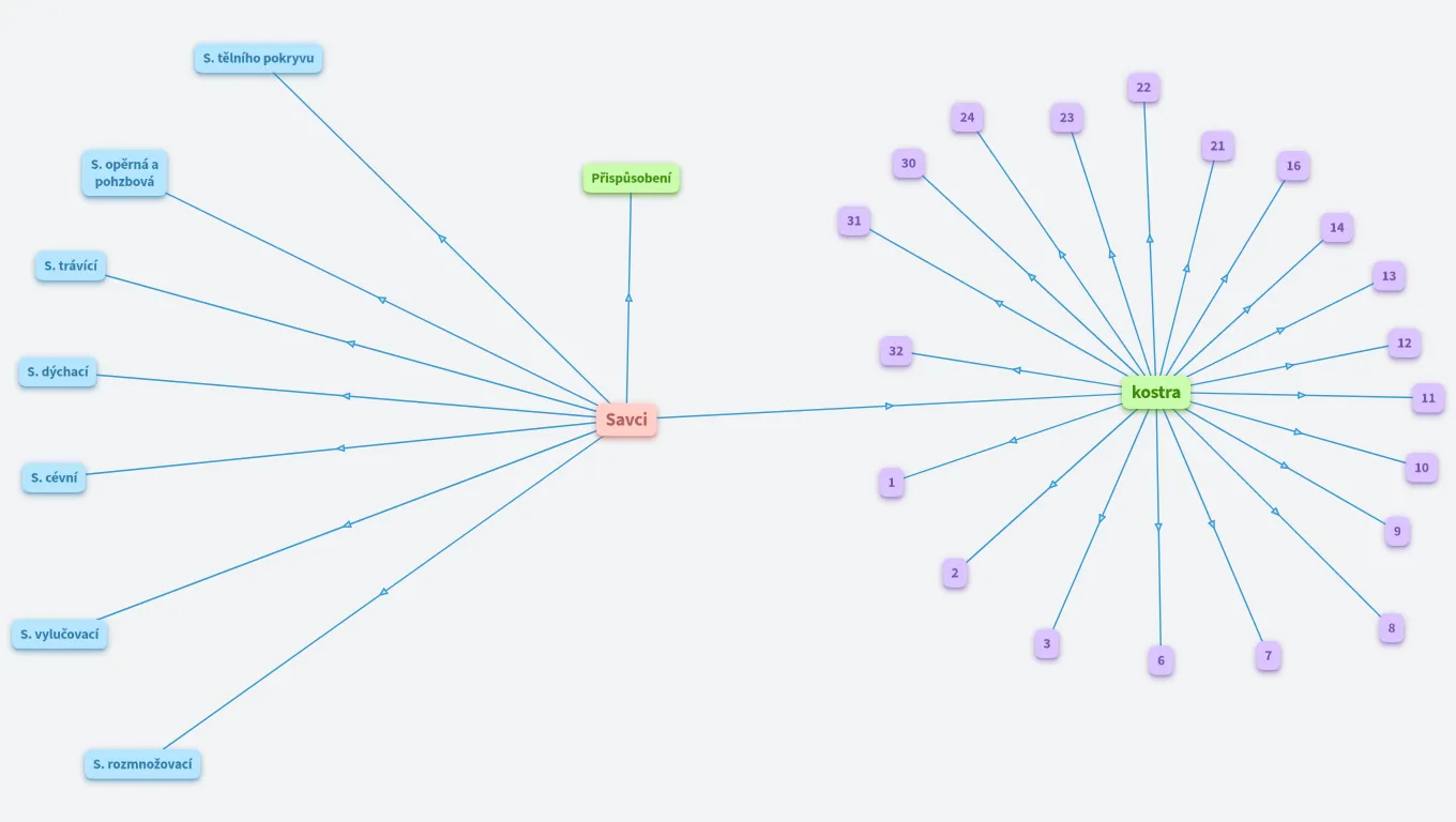 Vnitřní stavba těla savců - A