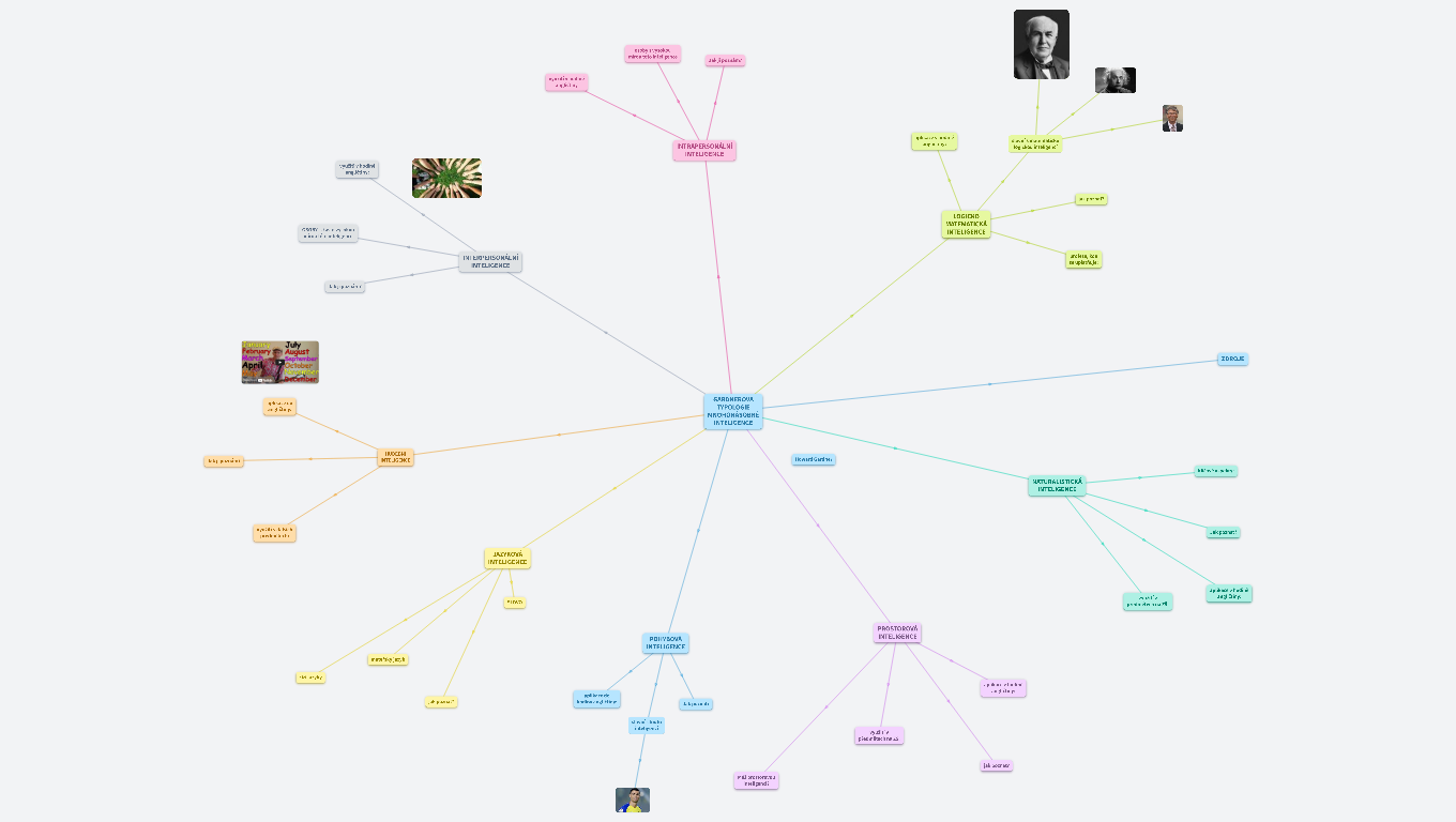 GARDNEROVA TYPOLOGIE