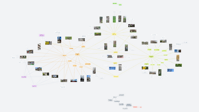 Najdi ve svém okolí... (Baruš Mima)