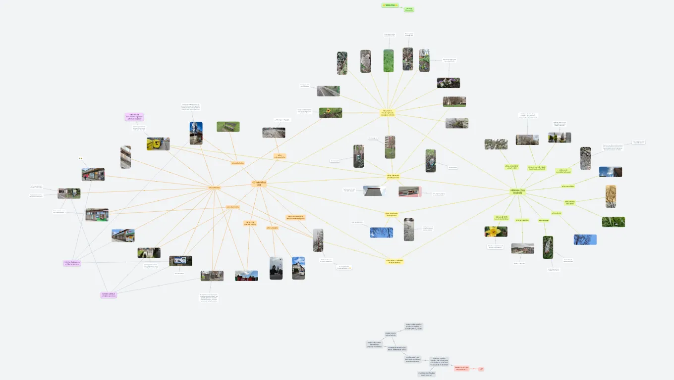 Najdi ve svém okolí... (Baruš Mima)